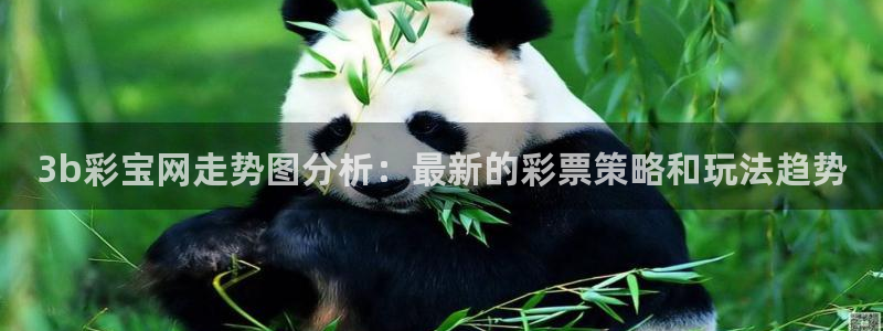 mg不朽情缘体育app下载：3b彩宝网走势图分析：最新的彩票策略和玩法趋势