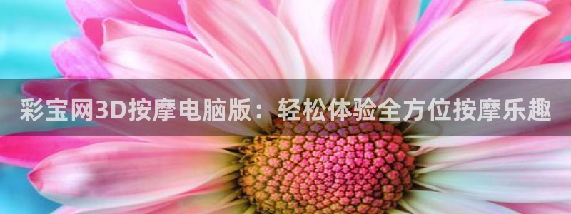 mg不朽情缘体育eon：彩宝网3D按摩电脑版：轻松体验全方位按摩乐趣