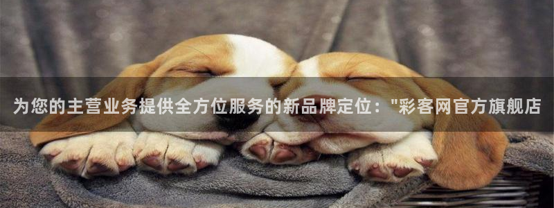 mg不朽情缘体育3：为您的主营业务提供全方位服务的新品牌定位：\